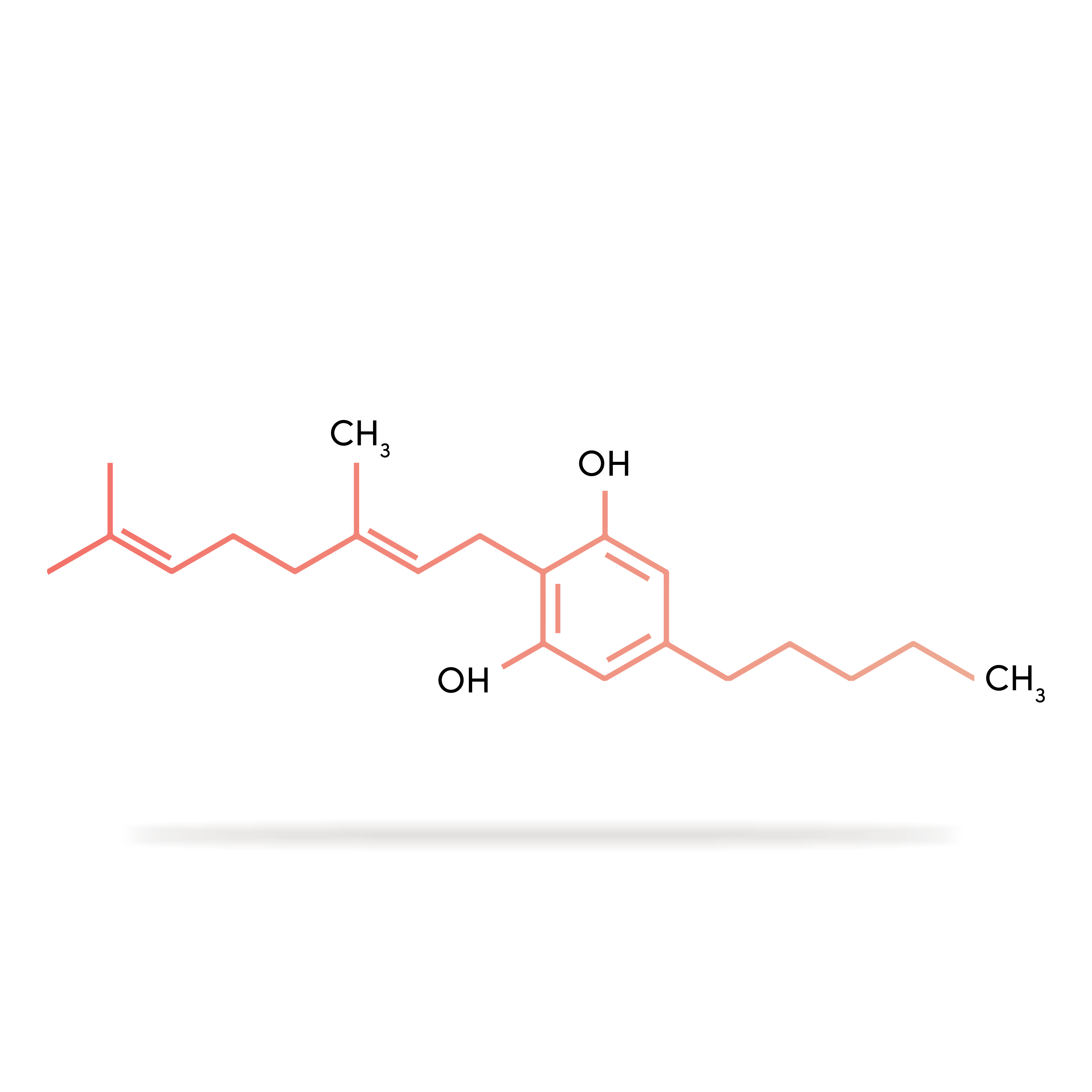 Guide to CBG, the "Mother Cannabinoid"